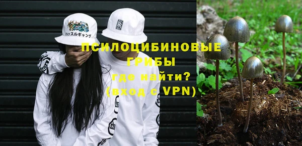 ГАЛЛЮЦИНОГЕННЫЕ ГРИБЫ Абаза