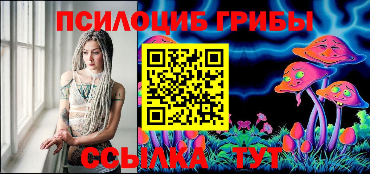 Галлюциногенные грибы мицелий Каменск-Шахтинский