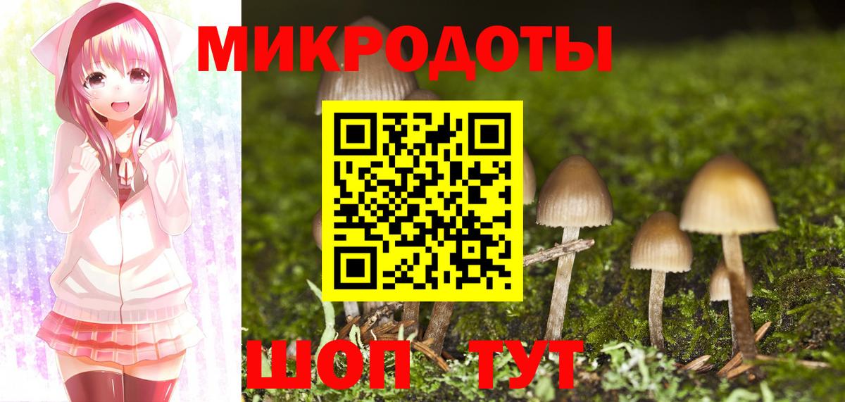 Псилоцибиновые грибы мухоморы Каменск-Шахтинский