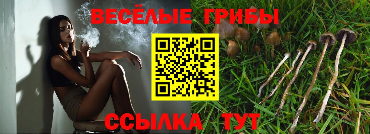 Галлюциногенные грибы GOLDEN TEACHER  Псилоцибиновые грибы GOLDEN TEACHER  продажа наркотиков  Каменск-Шахтинский 