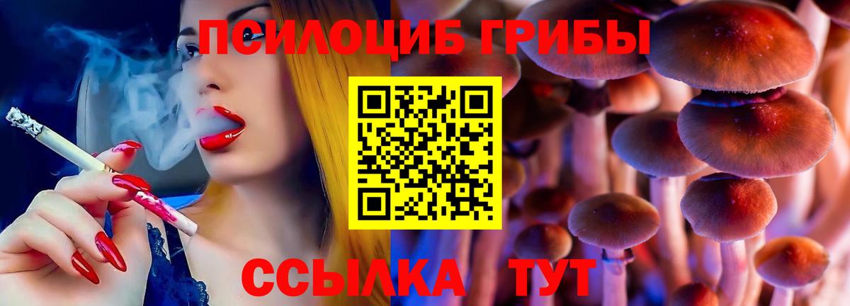 Каменск-Шахтинский  Псилоцибиновые грибы мухоморы  Псилоцибиновые грибы мухоморы  Вход с VPN 